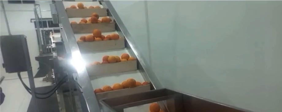 Elevador de fruta con cajas plásticas