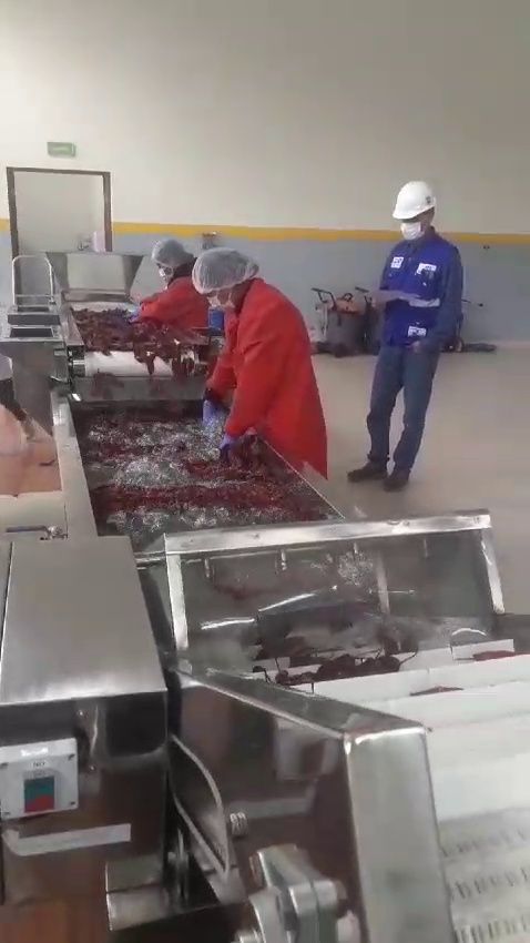 Proceso de lavado con agua e inspección