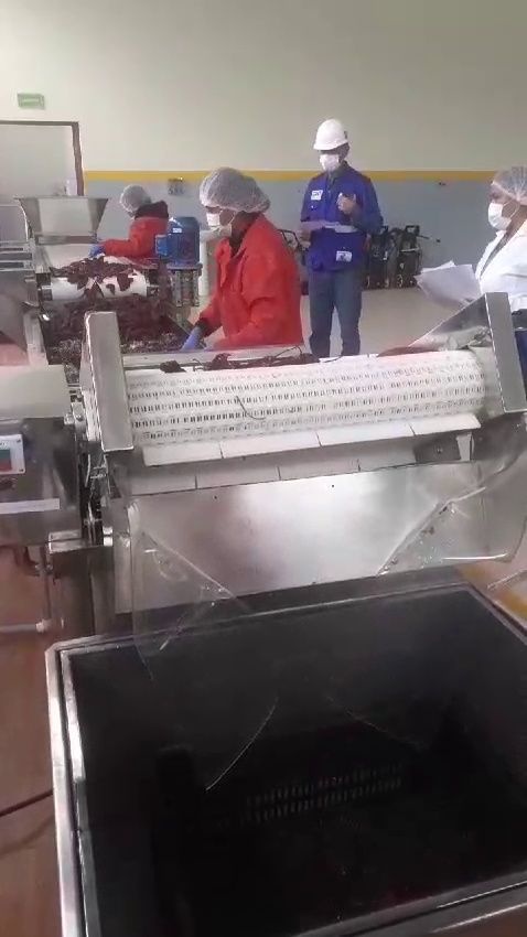 Vista general de la planta de lavado de ají y faja transportadora